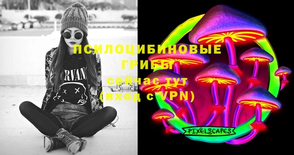 дурь Алексин