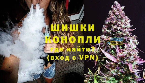 ПСИЛОЦИБИНОВЫЕ ГРИБЫ Алзамай