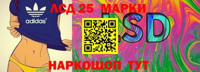 прущие грибы Комсомольск-на-Амуре