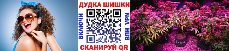 ОМГ ОМГ зеркало  Лабинск  Конопля Amnesia 